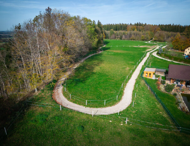 Ferienhof, Urlaub, Ferienvermietung, Ferienwohnung, Sehenswürdigkeiten, Allgäu Ferienhaus Übernachtung im Allgäu Reiterhof Urlaub mit Hund Reitstall Familien Urlaub, Gestüt Bauernhof, Urlaub Urlaub auf dem Bauernhof. Urlaub im Allgäu Urlaub mit Pferden. Ferien Bauernhof