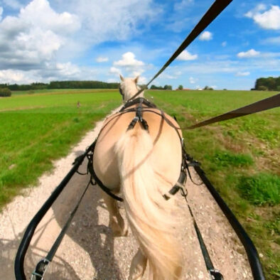 Kutsche fahren