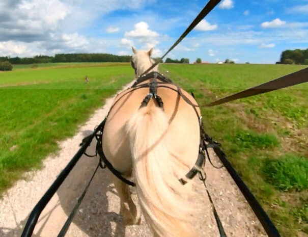 Kutsche fahren