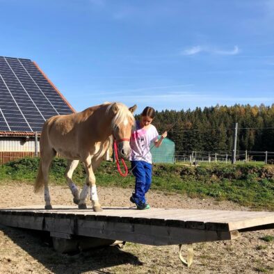 Ferienhof, Urlaub, Ferienvermietung, Ferienwohnung, Sehenswürdigkeiten, Allgäu Ferienhaus Übernachtung im Allgäu Reiterhof Urlaub mit Hund Reitstall Familien Urlaub, Gestüt Bauernhof, Urlaub Urlaub auf dem Bauernhof. Urlaub im Allgäu Urlaub mit Pferden. Ferien Bauernhof, Springpferd, Reitunterricht, Galoppbahn