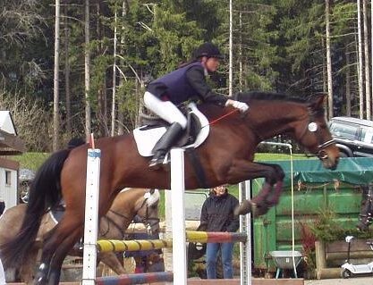 Ferienhof, Urlaub, Ferienvermietung, Ferienwohnung, Sehenswürdigkeiten, Allgäu Ferienhaus Übernachtung im Allgäu Reiterhof Urlaub mit Hund Reitstall Familien Urlaub, Gestüt Bauernhof, Urlaub Urlaub auf dem Bauernhof. Urlaub im Allgäu Urlaub mit Pferden. Ferien Bauernhof, YouTube Pferdewissen, Sternschnuppe Haflinger, Janina Fischer Lea Fischer