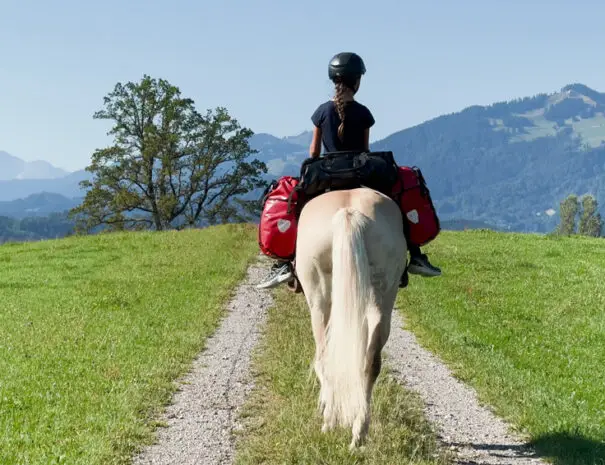 Wanderreiten im Allgäu