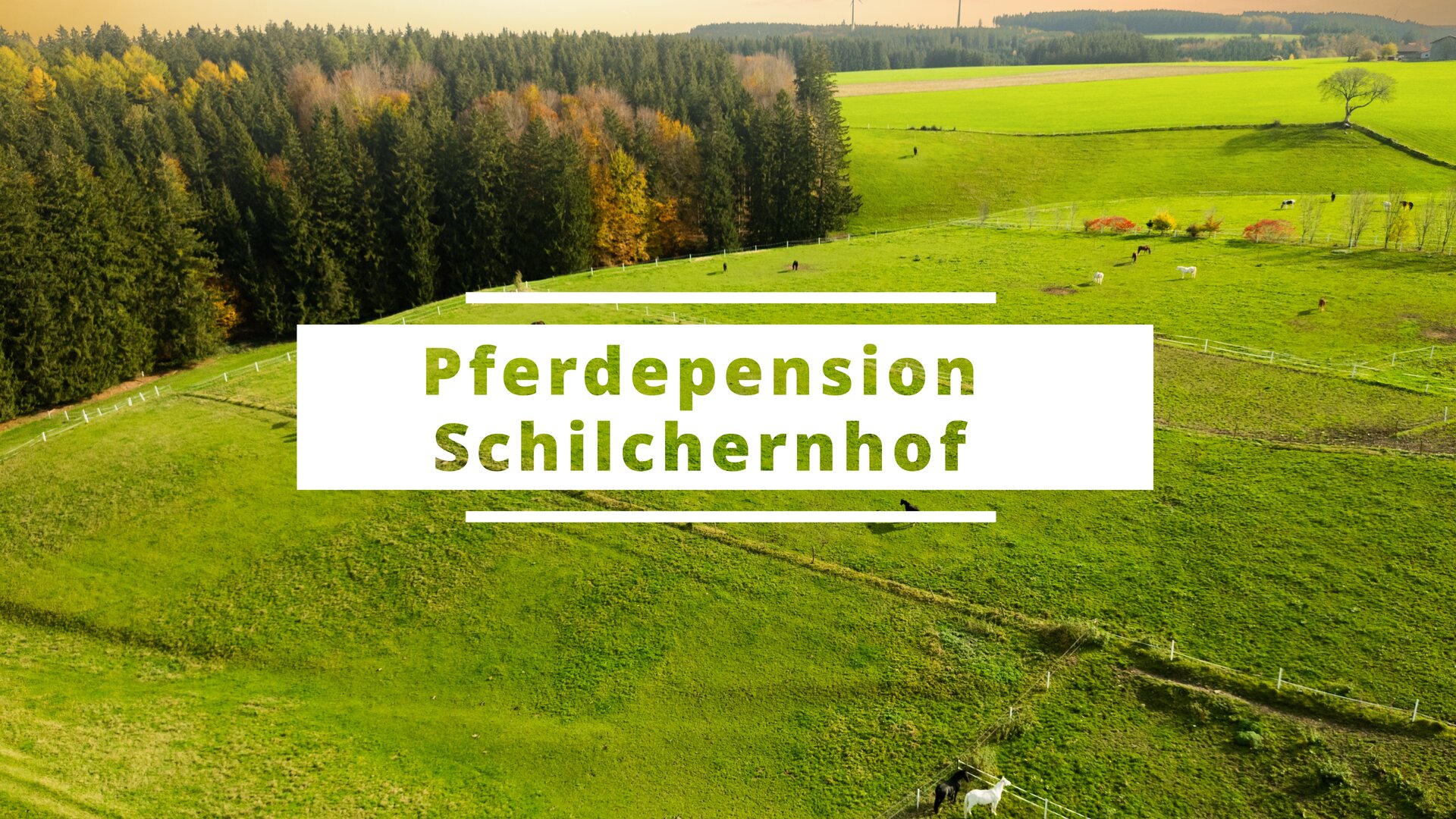 Pferdepension Schilchernhof